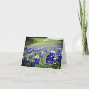 Bluebonnets Blue Flowers Texas Texan Floral Thank You Card