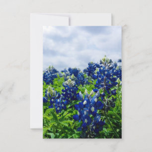 Bluebonnets Blue Flowers Texas Texan Floral  Thank You Card