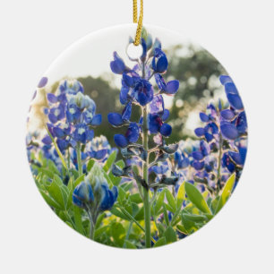 Bluebonnets Blue Flowers Texas Texan Lupine Ceramic Ornament