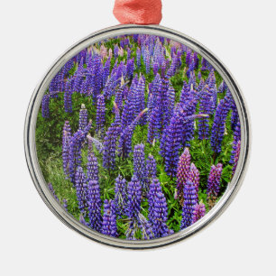 Bluebonnets Blue Flowers Texas Texan Lupine Metal Ornament
