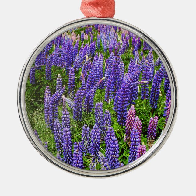 Bluebonnets Blue Flowers Texas Texan Lupine Metal Ornament (Front)