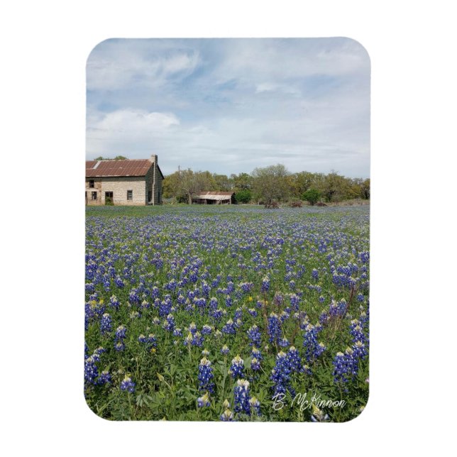 Bluebonnets Famous Texas House Magnet (Vertical)