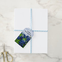 Bluebonnets Flowers Blue Floral Pretty Elegant Mum