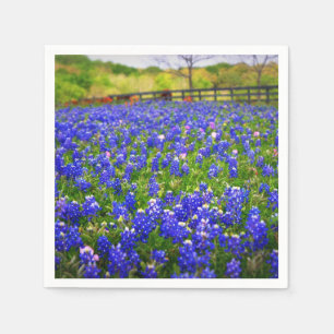 Bluebonnets in Texas Napkin