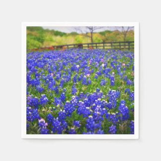 Bluebonnets in Texas Napkin