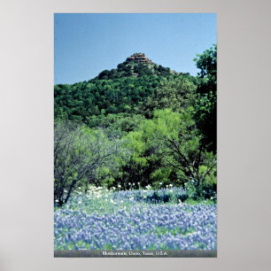 Bluebonnets, Llano, Texas, U.S.A. Poster