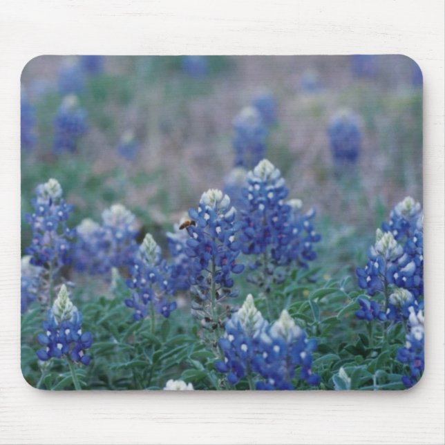 Bluebonnets Mouse Pad (Front)