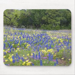 Bluebonnets, primrose, and phlox mouse pad