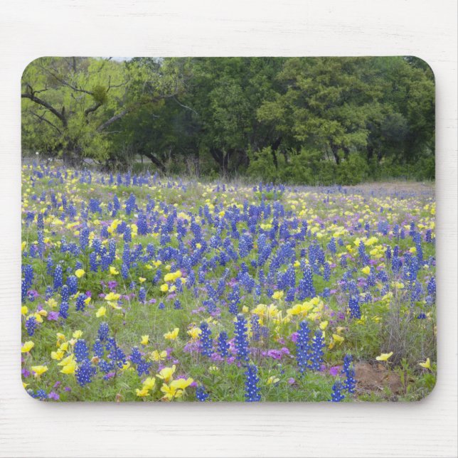 Bluebonnets, primrose, and phlox mouse pad (Front)