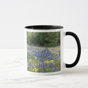 Bluebonnets, primrose, and phlox mug