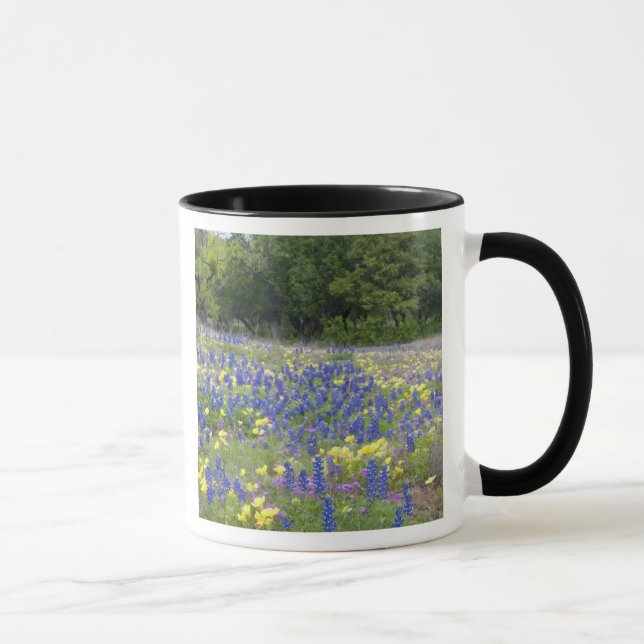 Bluebonnets, primrose, and phlox mug (Right)