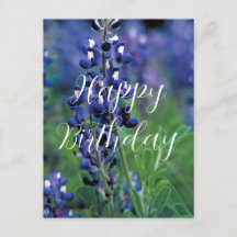 Bluebonnets Texas State Flower Blue Birthday