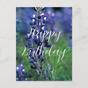 Bluebonnets Texas State Flower Blue Birthday Postcard