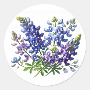 Bluebonnets Texas State Flowers Lupine Watercolor Classic Round Sticker