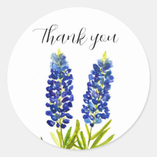 Bluebonnets Texas State Flowers Lupine Watercolor  Classic Round Sticker