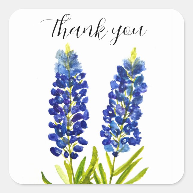 Bluebonnets Texas State Flowers Lupine Watercolor Square Sticker (Front)