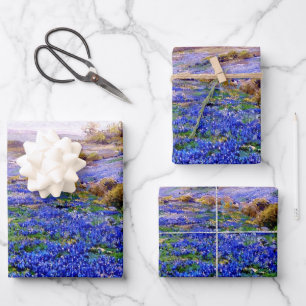Bluebonnets Wrapping Paper Flat Sheet Set of 3