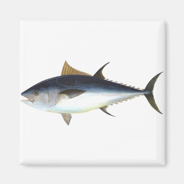 Bluefin Tuna illustration Magnet (Front)
