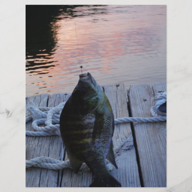 Bluegill at sunset Lake Arrowhead (Front)