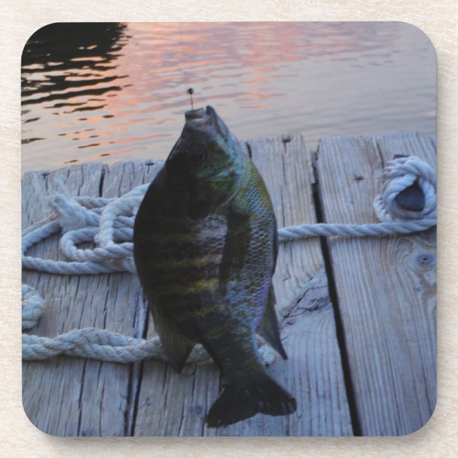 Bluegill at sunset Lake Arrowhead Coaster (Front)
