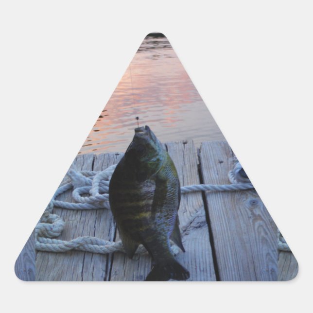 Bluegill at sunset Lake Arrowhead Triangle Sticker (Front)