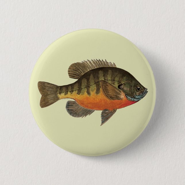 Bluegill Bream 6 Cm Round Badge (Front)