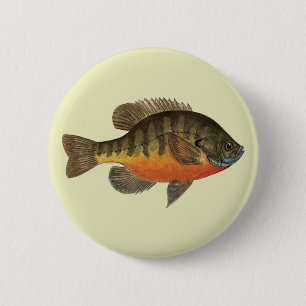 Bluegill Bream 6 Cm Round Badge