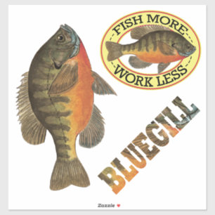 Bluegill Bream Fishing Angler's