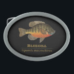 Bluegill Bream Fishing Oval Belt Buckle<br><div class="desc">THE BLUEGILL. Latin name: lepomis macrochirus. Whether you like fly fishing or fishing with tackle or bait or are an ichthyologist or just love fish, you’ll enjoy this design that features a big bream from an original watercolor painting by Mr. Trout Whiskers, Doug Shultz. Great gift for your favourite fisherman....</div>