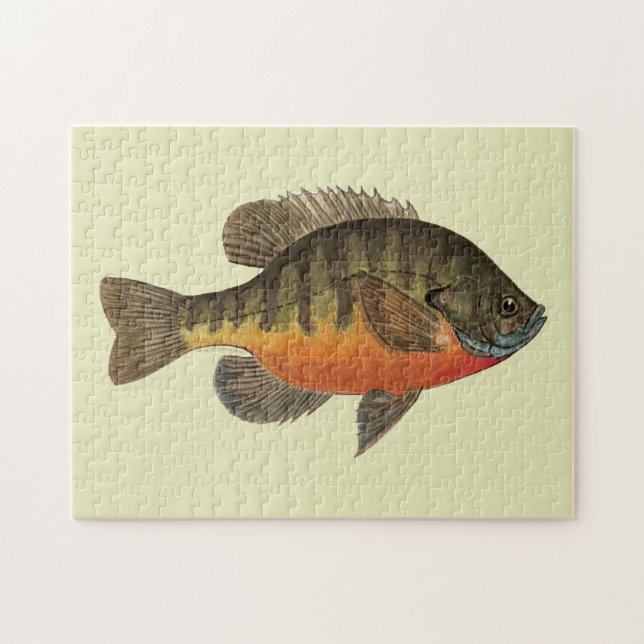 Bluegill Bream Jigsaw Puzzle (Horizontal)