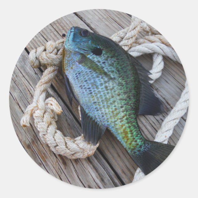 bluegill on dock classic round sticker (Front)