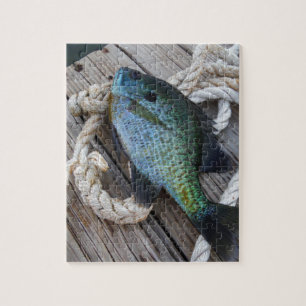 bluegill on dock jigsaw puzzle