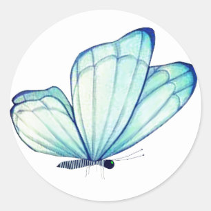 Bluegreen Butterfly Envelope Seals