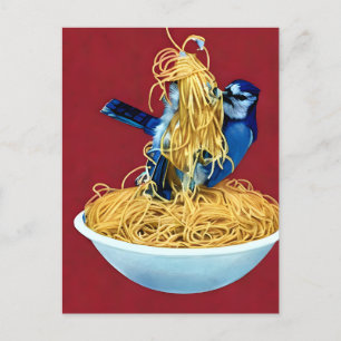 Bluejay eating Spaghetti Postcard