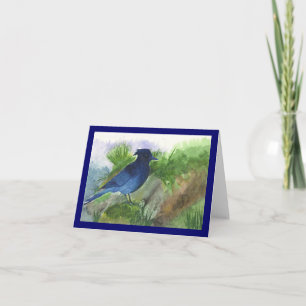Bluejay In the Muskeg Card