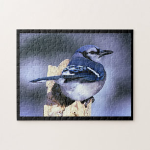 BlueJay Jigsaw Puzzle
