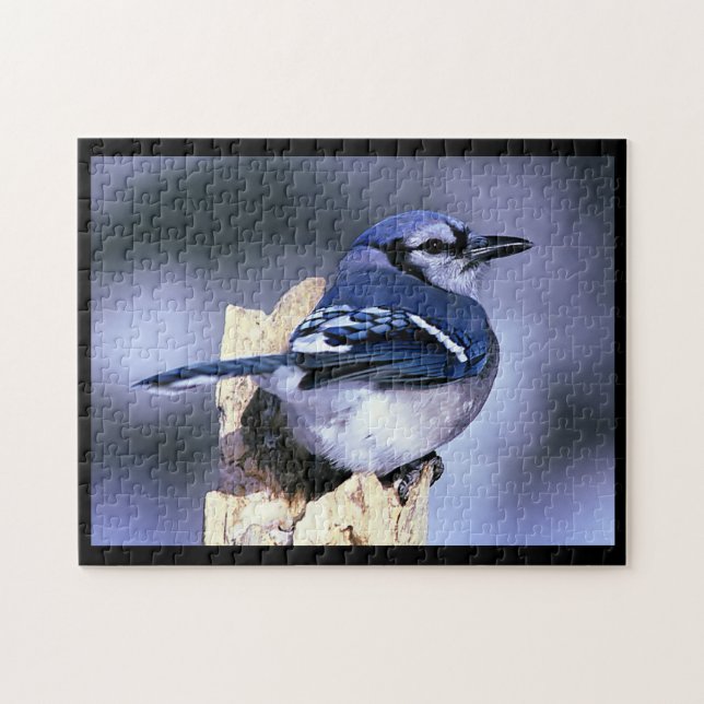 BlueJay Jigsaw Puzzle (Horizontal)