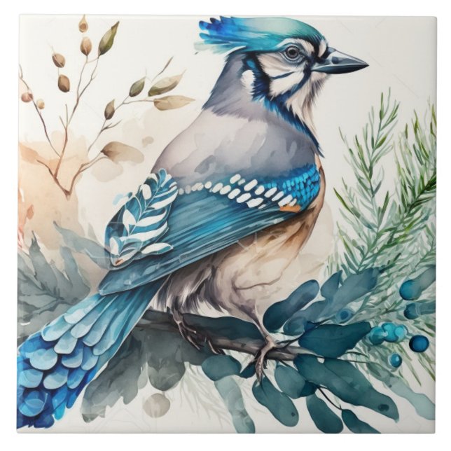 Bluejay On A Branch Watercolor Ceramic Tile (Front)