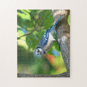Bluejay Perched in Tree Photographic Nature Jigsaw Puzzle