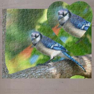 Bluejay Perched in Tree Photographic Nature Jigsaw Puzzle
