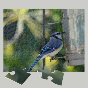 Bluejay Perched on Birdfeeder Photographic Jigsaw Puzzle