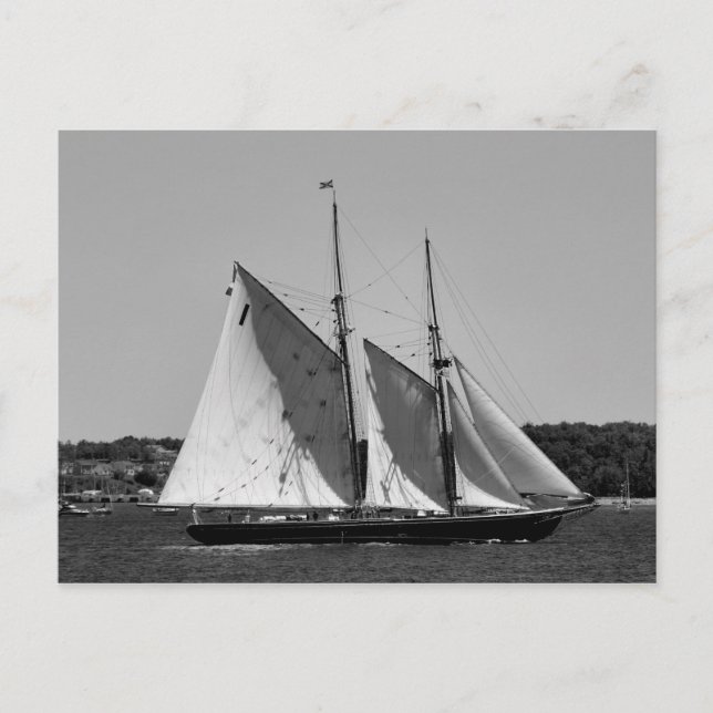 Bluenose II Postcard (Front)