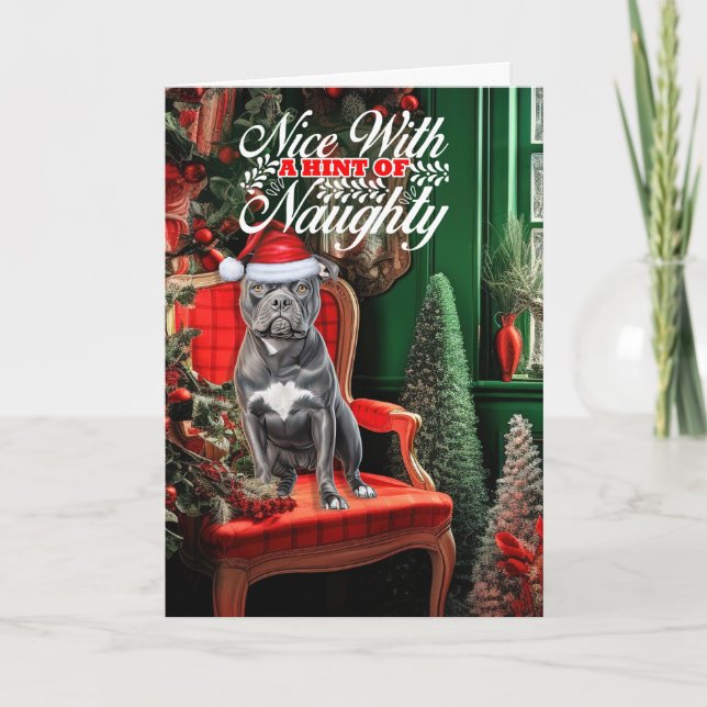 Bluenose Pitbull Dog Naughty or Nice Christmas Holiday Card (Front)