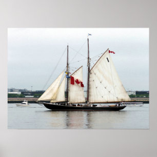 Bluenose Poster