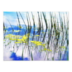 Blues and Grass Photo Print