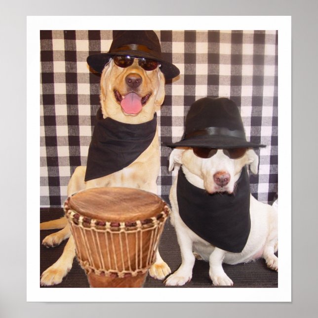 Blues Brothers Labs Poster (Front)