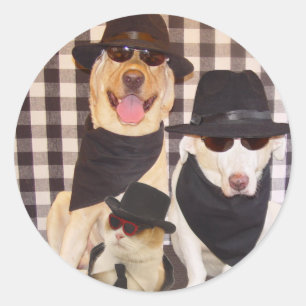 Blues Labs & Cool Cat Classic Round Sticker