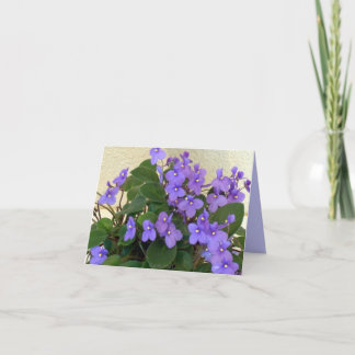 Bluest Blue Violets Card