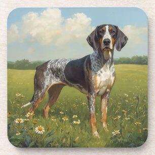 Bluetick Coonhound Coaster