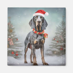 Bluetick Coonhound Dog in Snow Christmas  Magnet